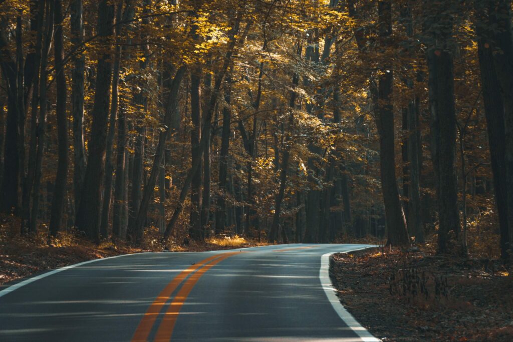 Road