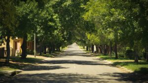 driveway in a residential property