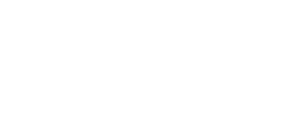 rua seguridad white logo